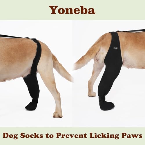 Chaussettes Yoneba avec ajustement sécurisé pour patte, sans dérapage.