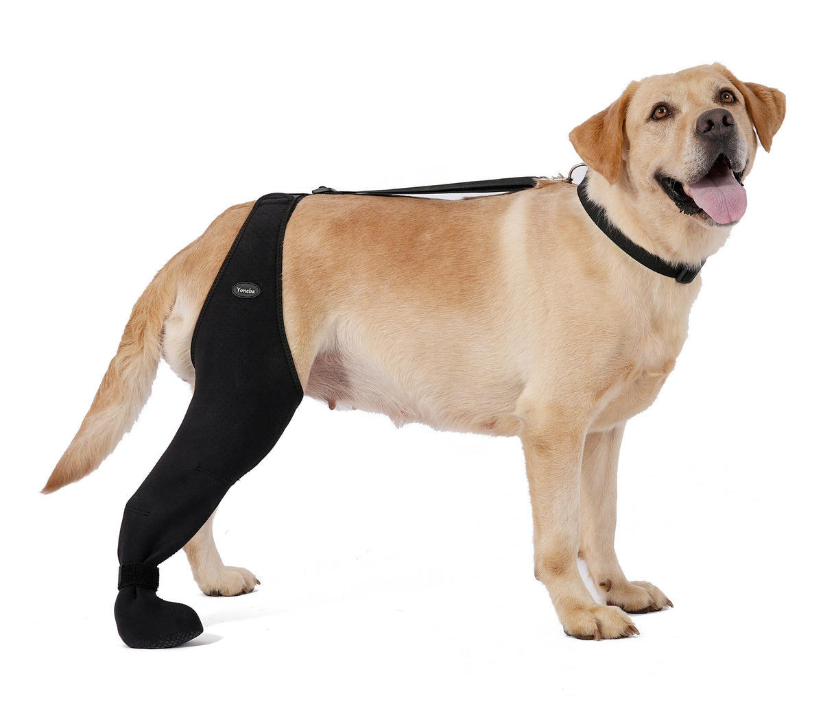 Chaussettes anti-lechage Yoneba protégeant les pattes et favorisant une récupération en douceur.