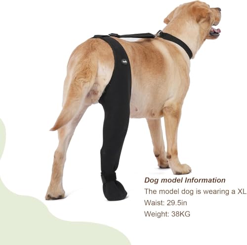 Chien portant des chaussettes Yoneba douces et confortables, textures agréables.