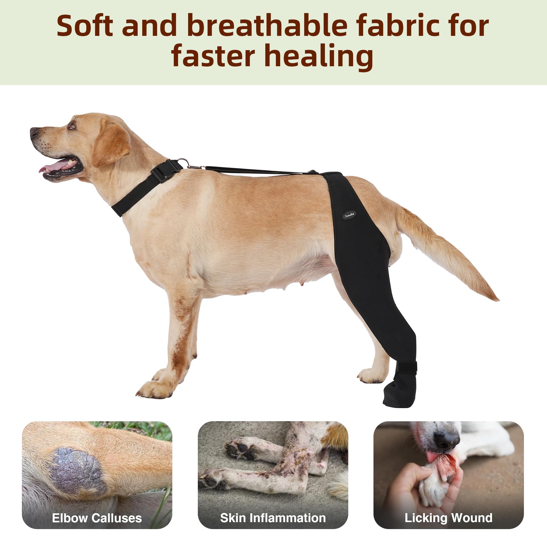 Tailles variées assurent un ajustement fiable pour chaque chien.