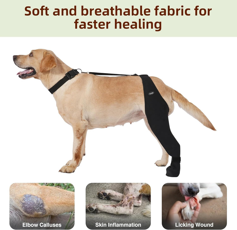 Différentes tailles de chaussettes Yoneba pour chien, ajustement optimal.
