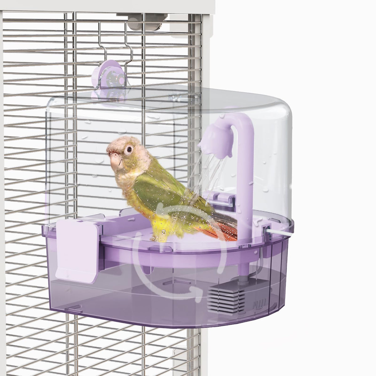 YOOSO WING – bain automatique pour oiseaux, expérience naturelle dans la cage.
