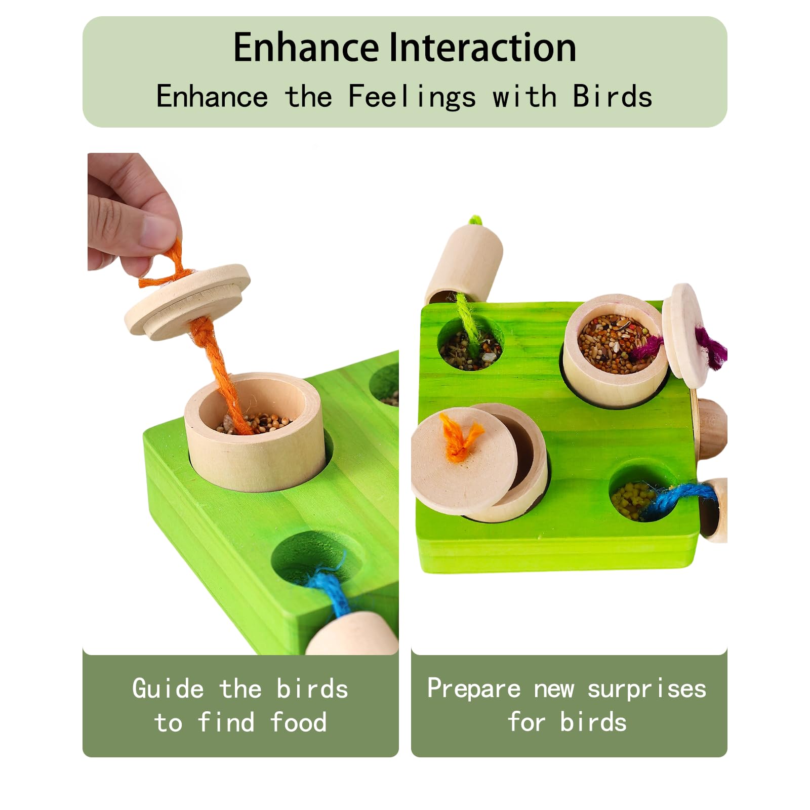Installation rapide du Birdie Puzzle Feeder sur cage avec vis en bois