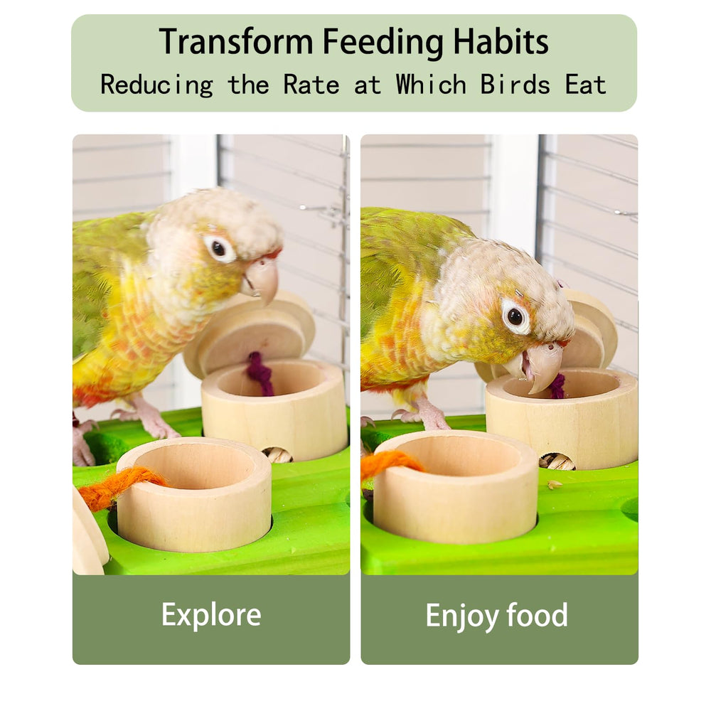 Surfaces saines et non toxiques du Birdie Puzzle Feeder
