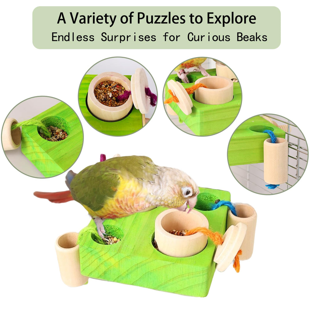Utilisation quotidienne du Birdie Puzzle Feeder pour petites et moyennes perruches
