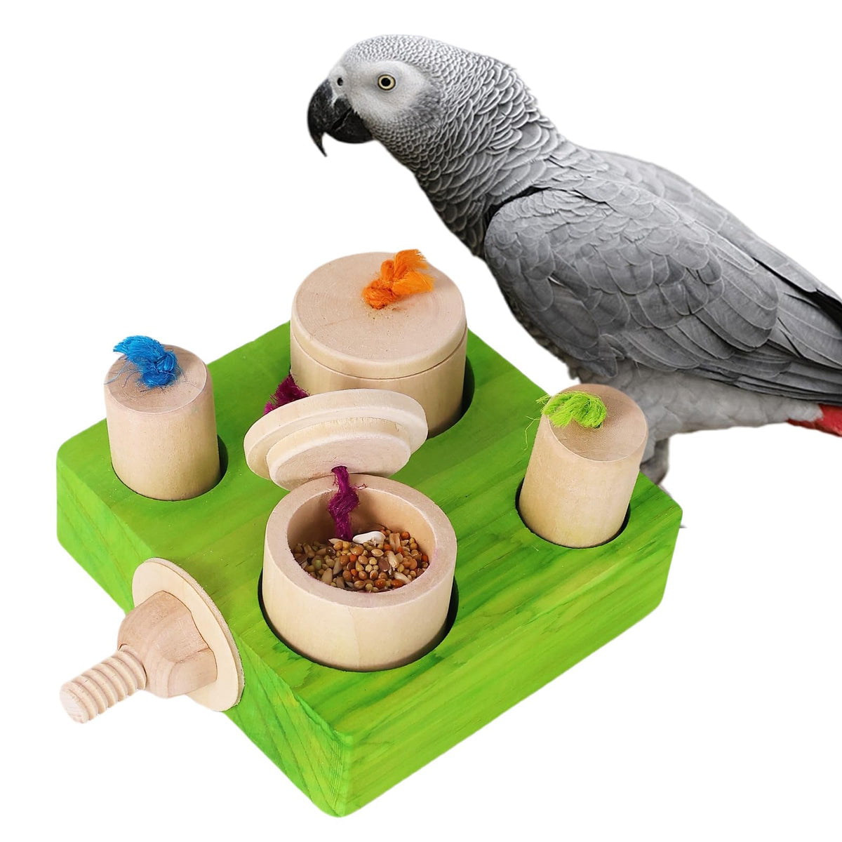YOOSO WING Birdie Puzzle Feeder, vue frontale sur cage, stimulation mentale de l’oiseau