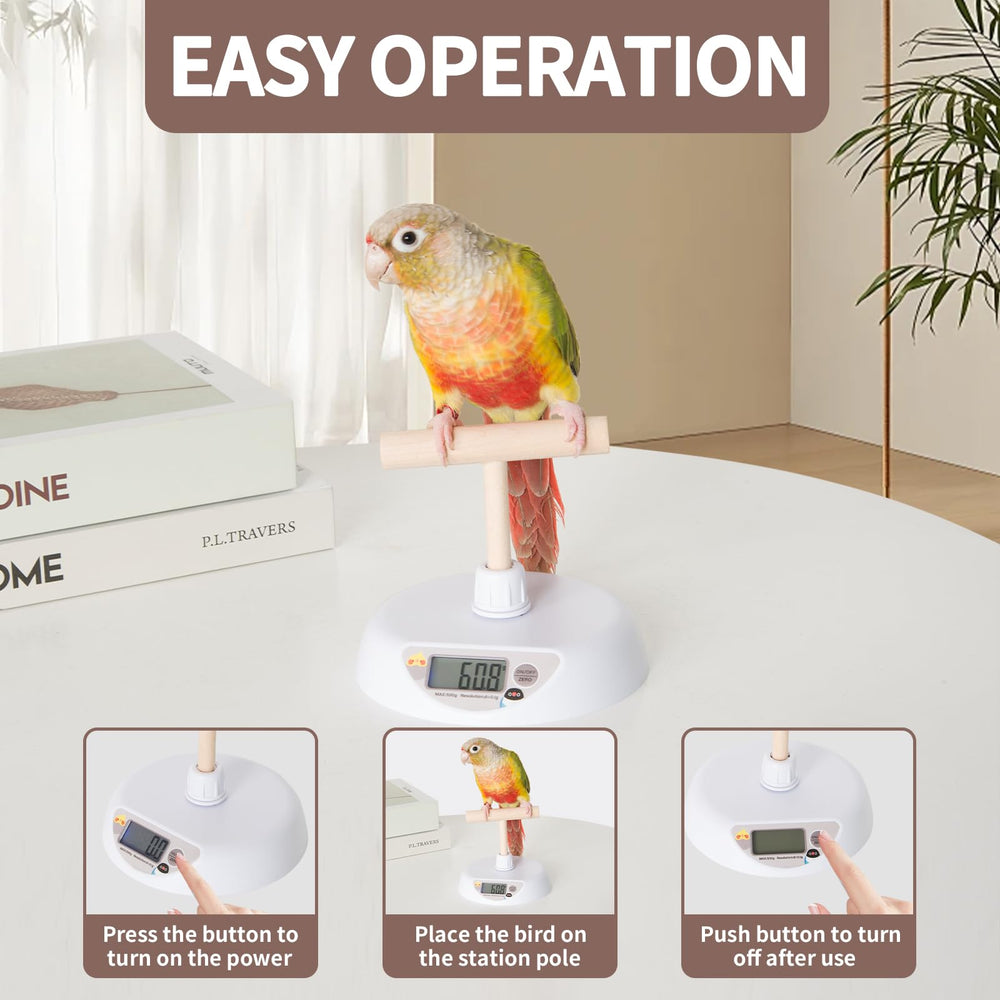 YOOSO WING – Capacité 500 g, suivi du poids sur le long terme.