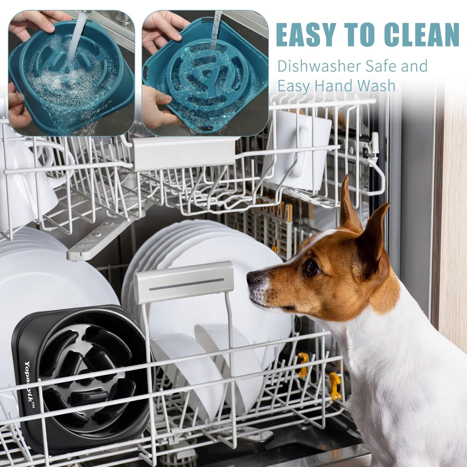 Bol adapte pour petits et moyens chiens et chats – pratique quotidienne.