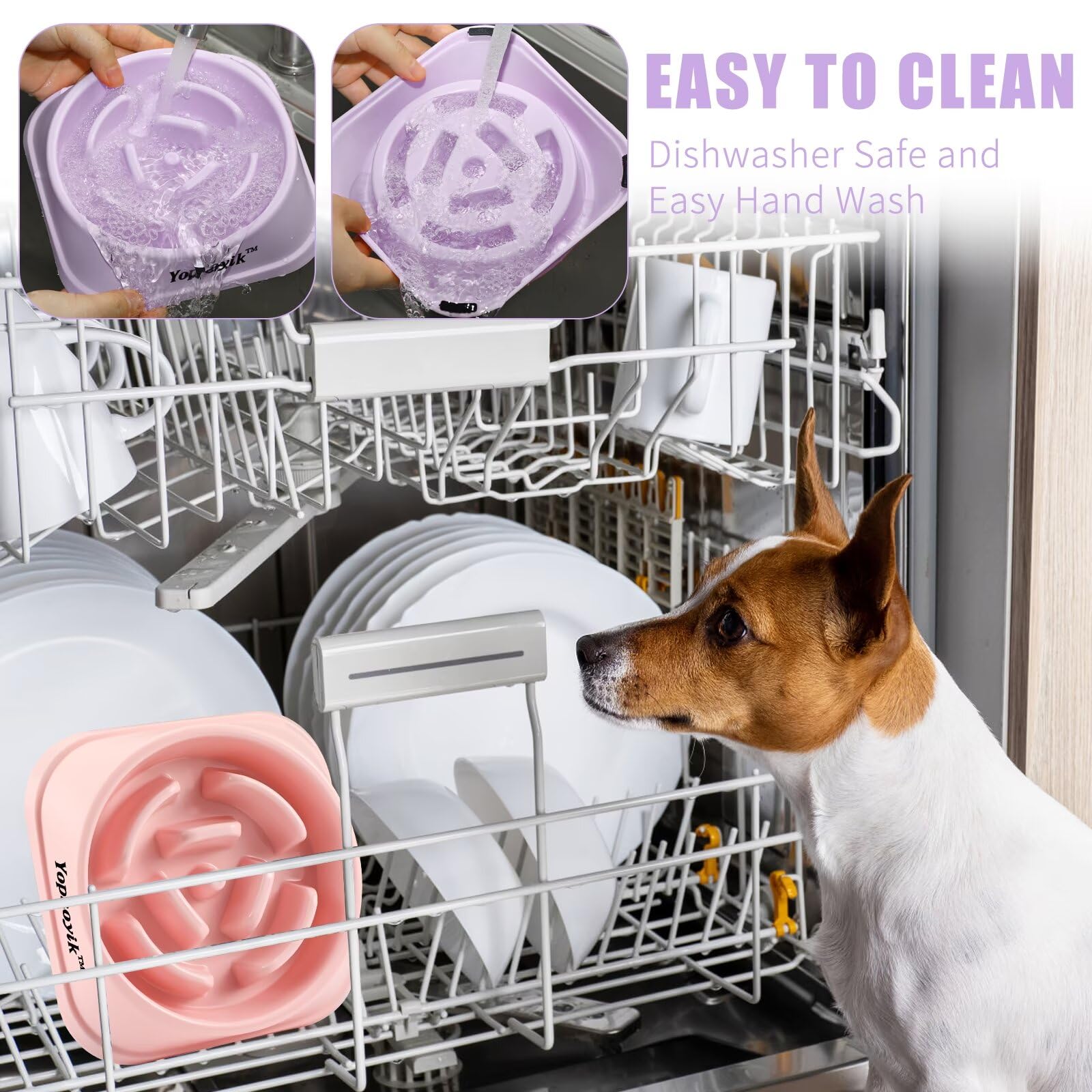 Yopnoyik gamelle lente massage-gencives: texture qui masse les gencives pendant le repas.