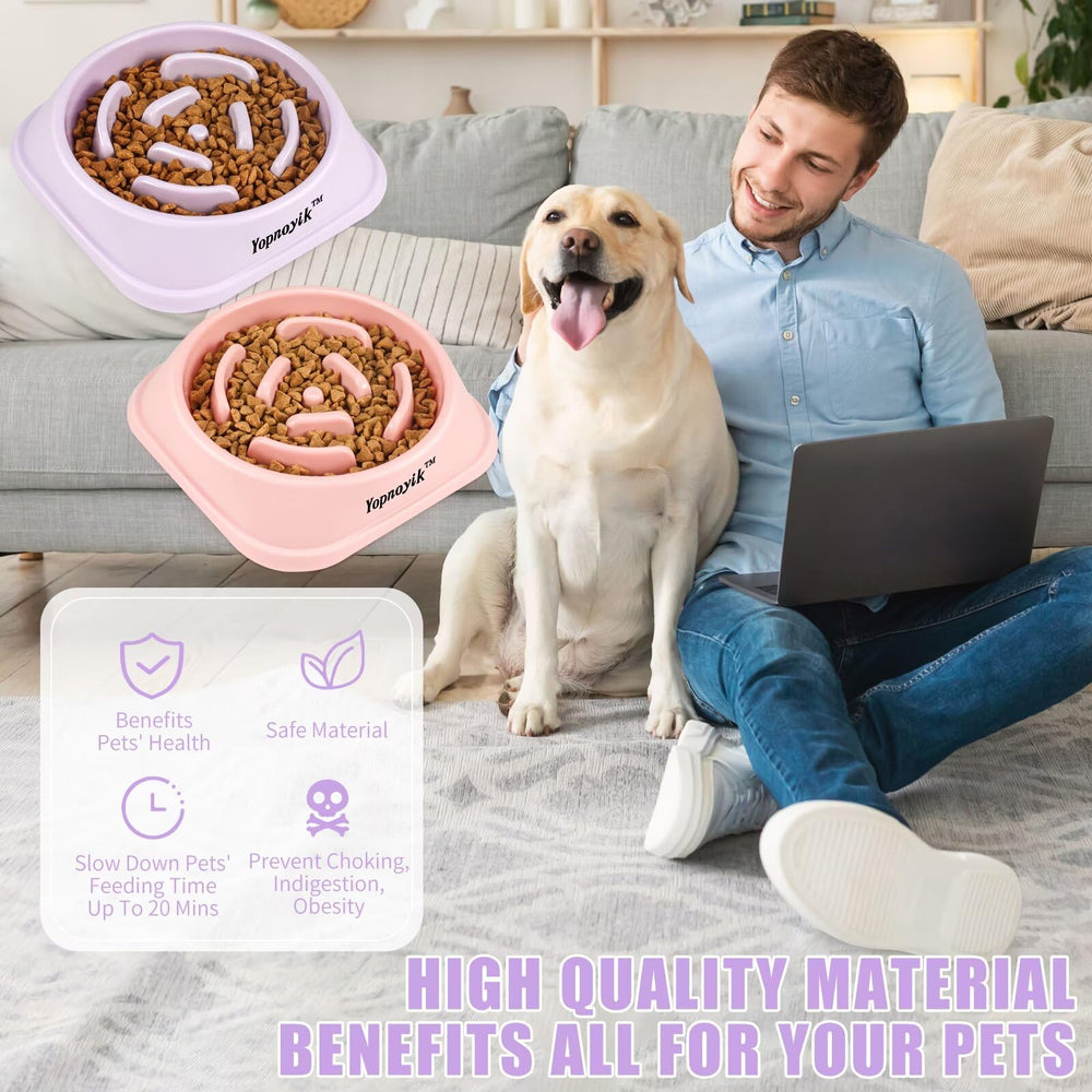 Yopnoyik gamelle lente pour-chat-et-chien: adaptée petites et moyennes races.