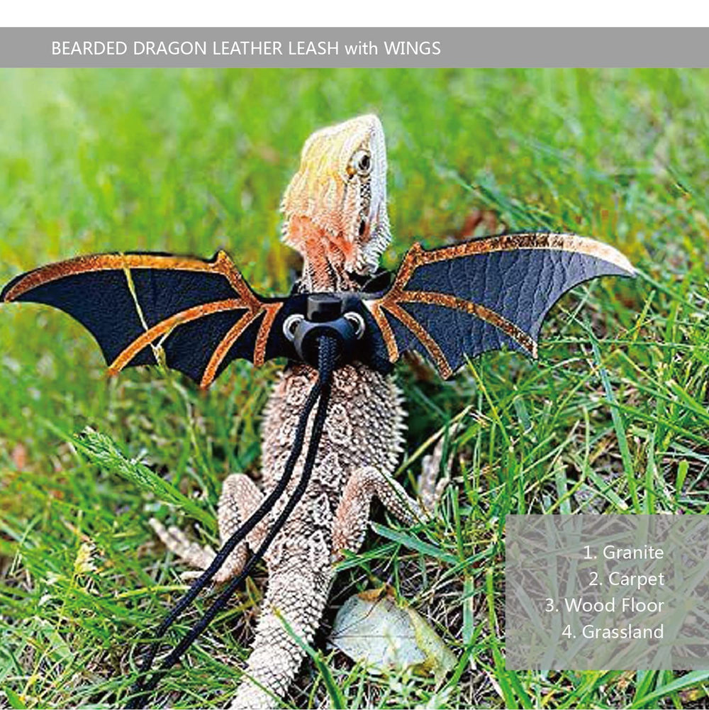 Ensemble porte-bébé et harnais Yosadol pour reptile petit format.