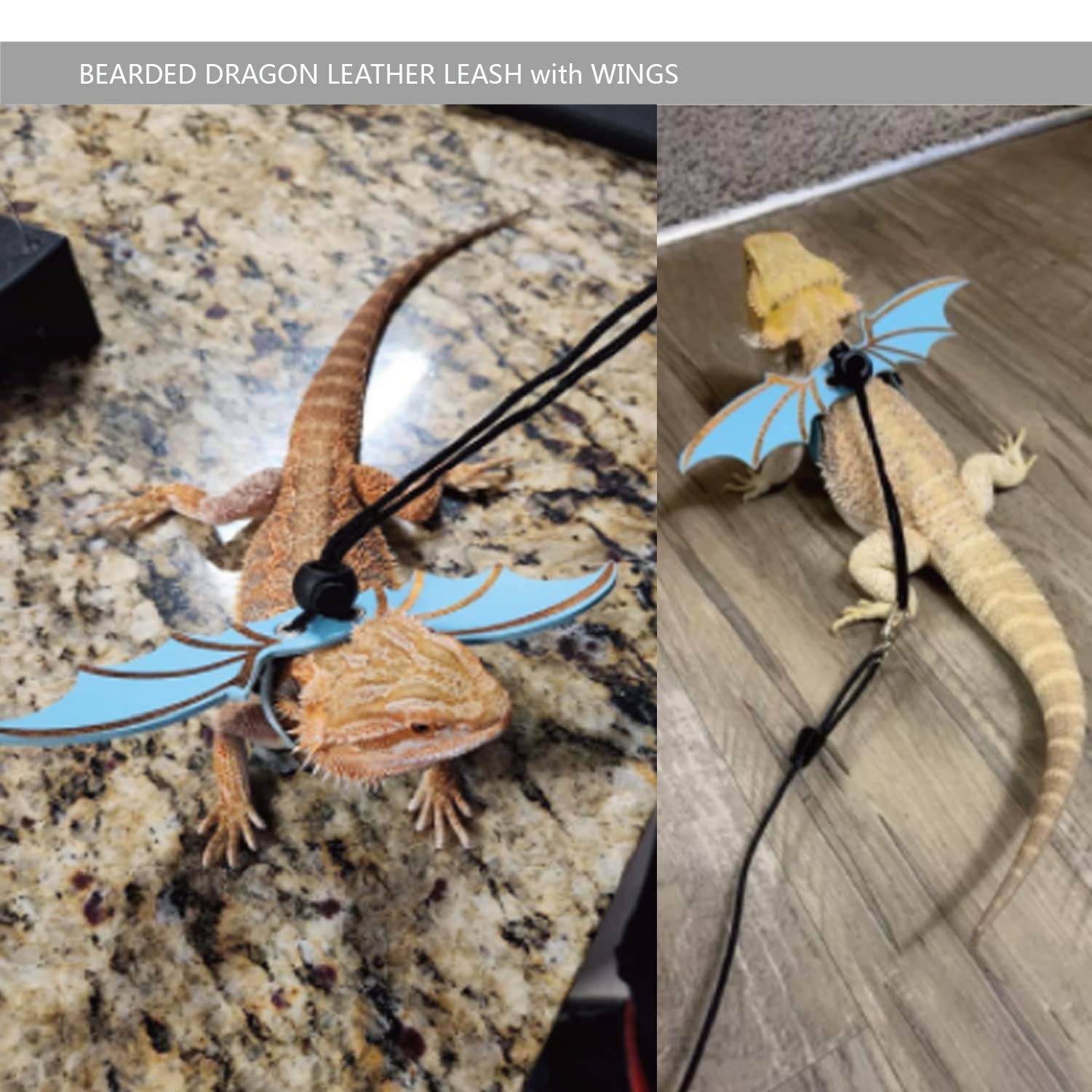 Harnais dragon-barbu bleu Yosadol, ajustable pour petit animal.
