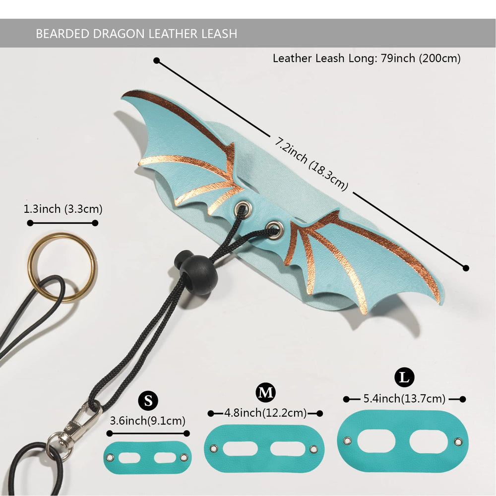 Longe dragon-barbu avec ailes bleues Yosadol, promenades sécurisées.