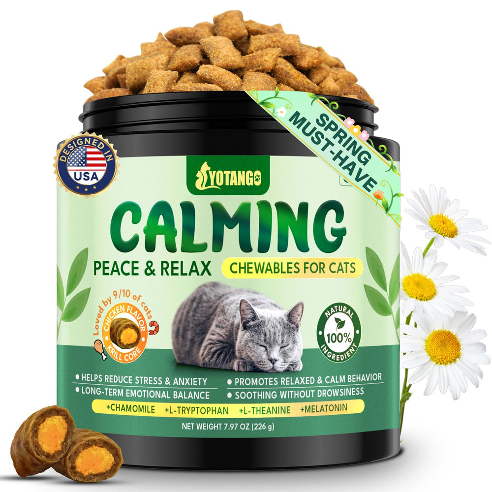 YOTANGO Chat – bouchée croquante calment les moments stressants.