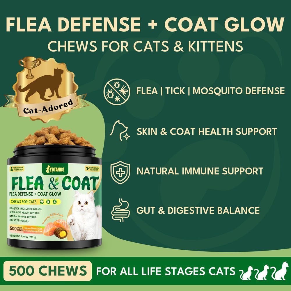 YOTANGO croquettes crème-saumon pour chat, texture agréable et soutien pour le pelage.