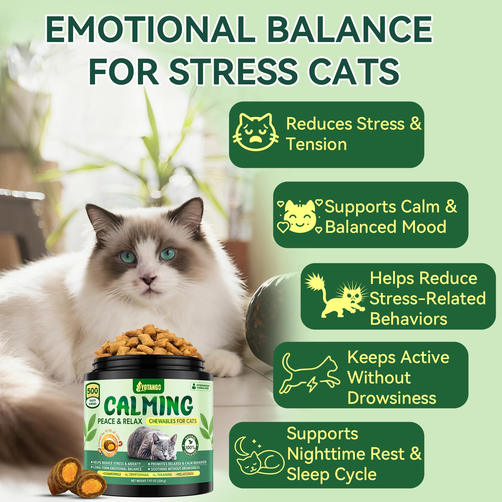 YOTANGO Saveur poulet – croquant apprécié par les chats difficiles.