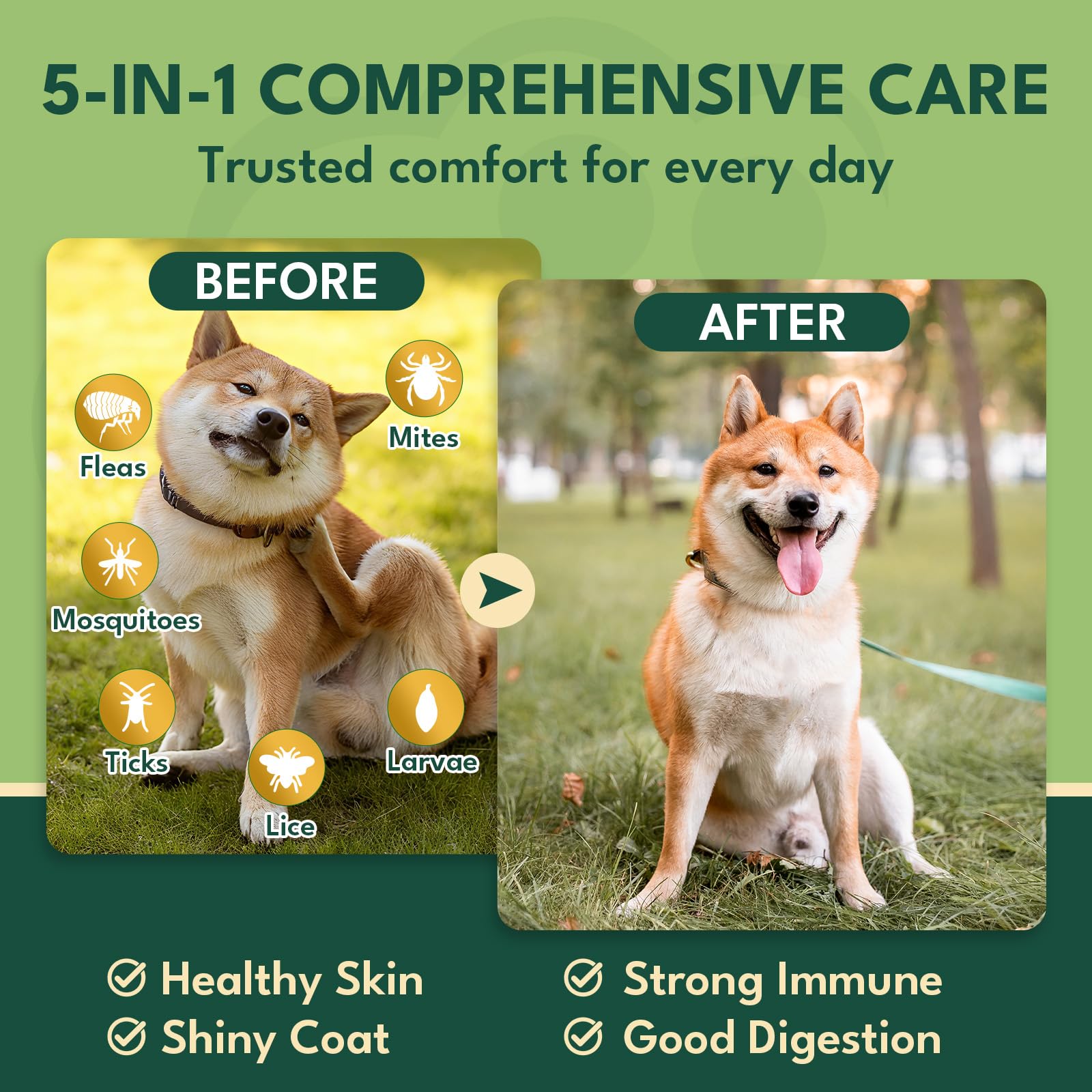 YOTANGO Chien — ingrédients naturels pour une alimentation simple.