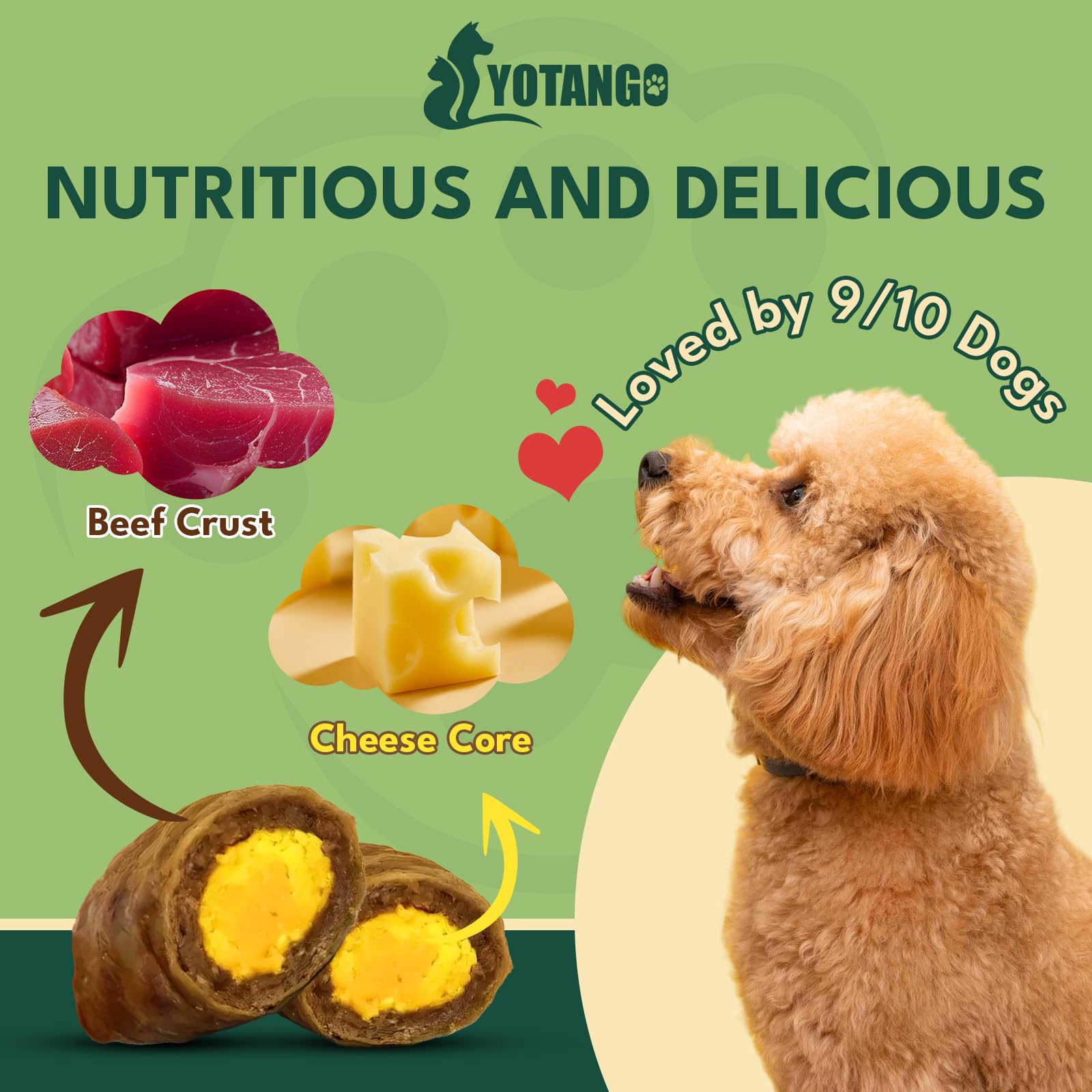 YOTANGO Chien — soutien digestif doux grâce à des ingrédients naturels.