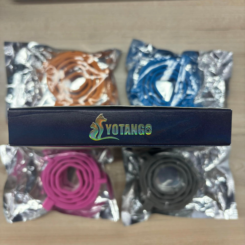 Colier YOTANGO résistant à l'eau — porté sous la pluie sans souci.