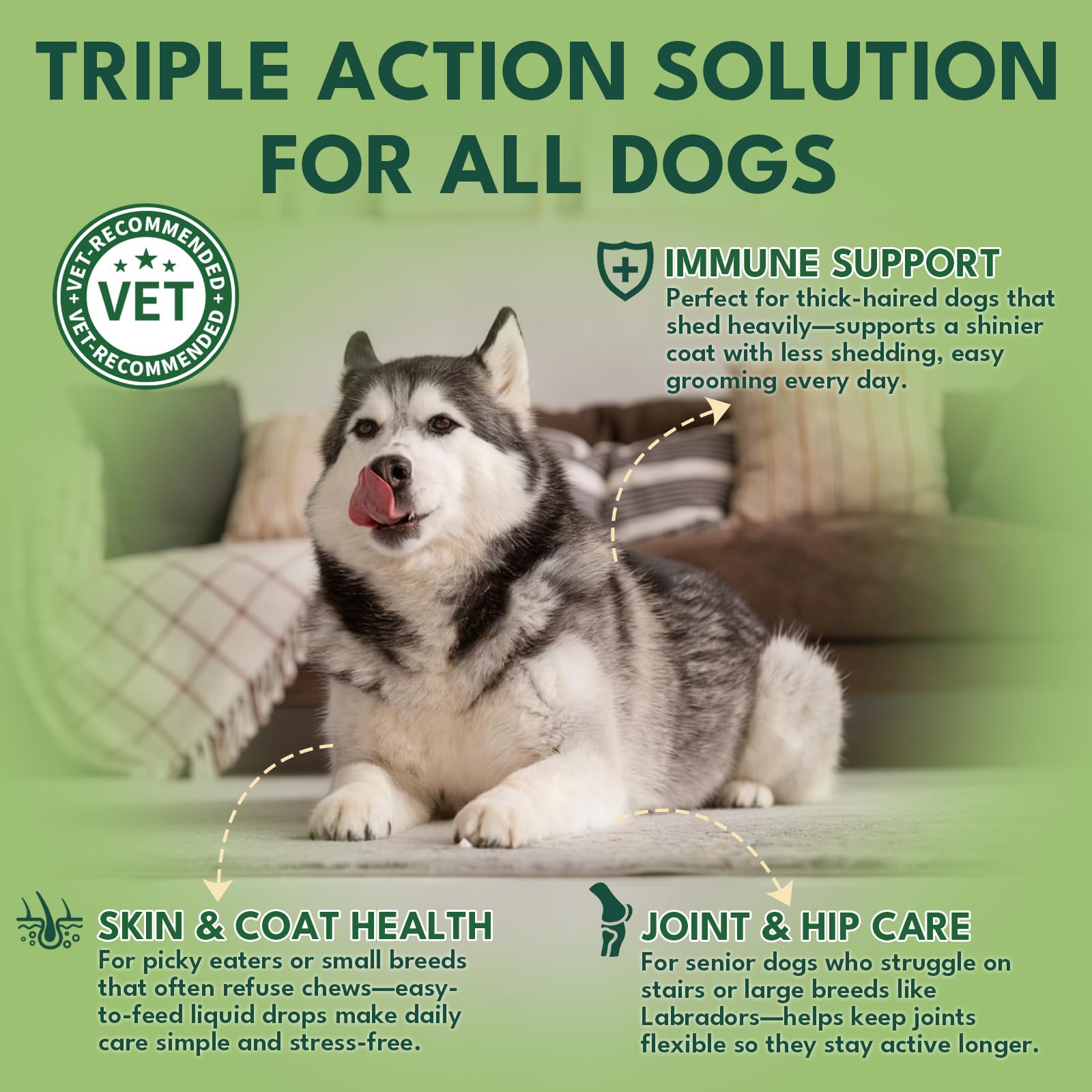 Gouttes de collagène pour chien avec pipette et étiquette bacon, facilité d’utilisation.
