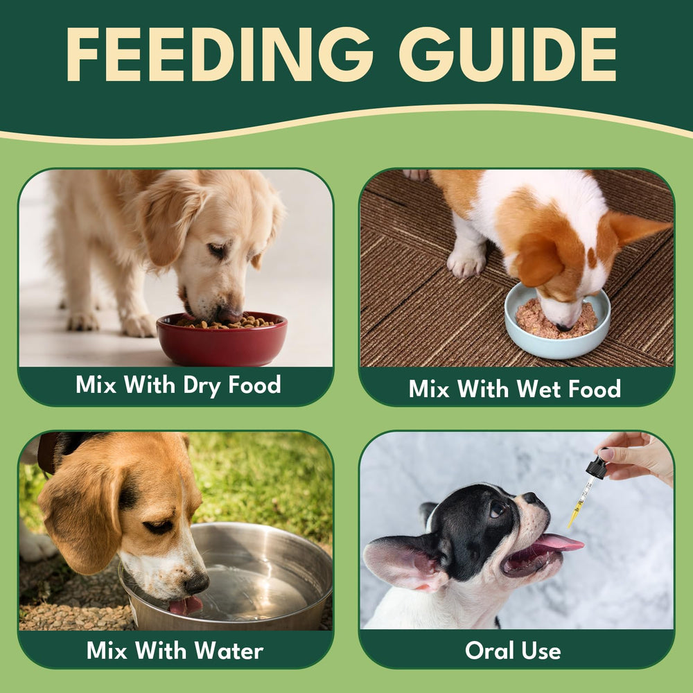 Mode d’emploi quotidien du collagène pour chien YOTANGO et dosage précis.
