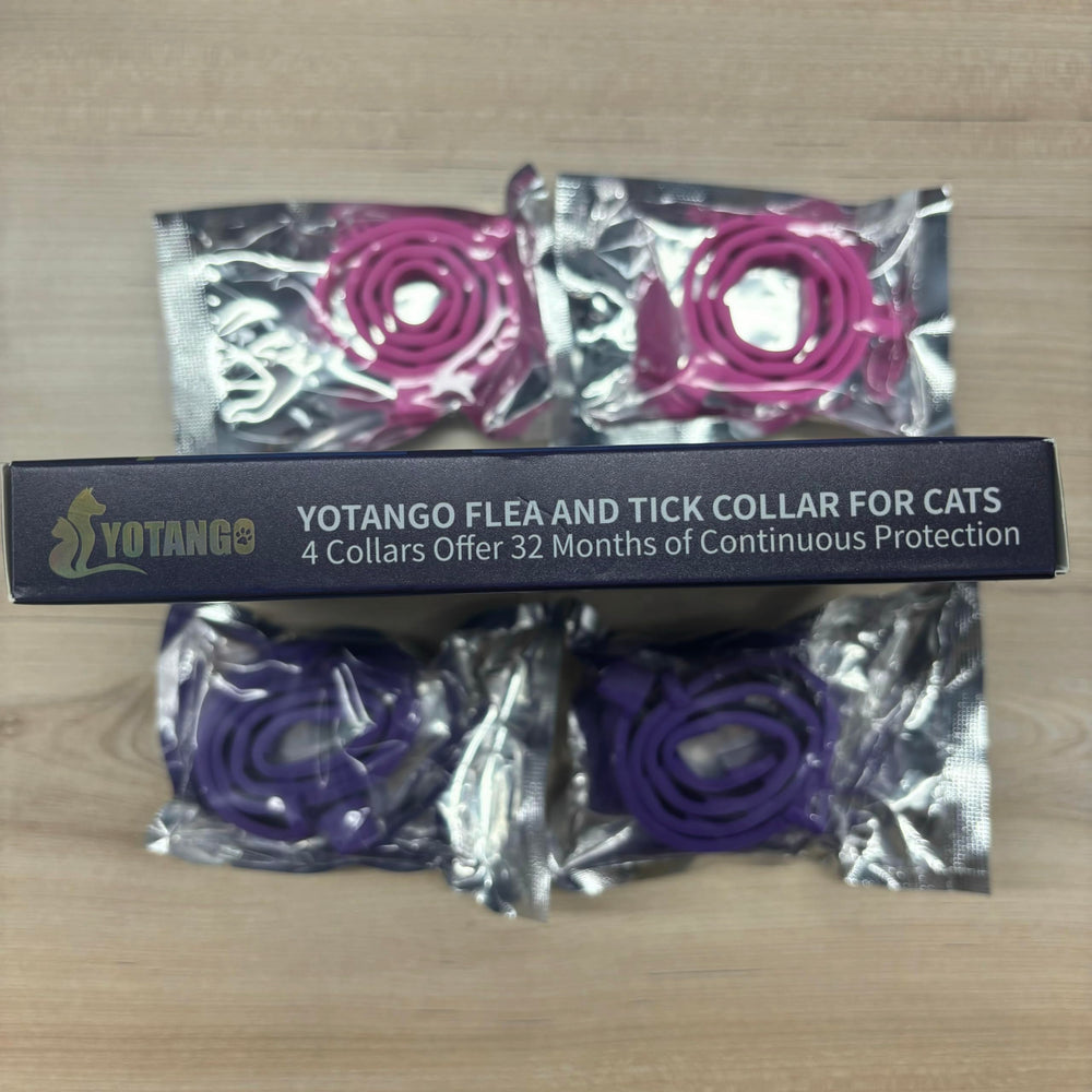YOTANGO collier chat étanche pour usage quotidien et pluies.