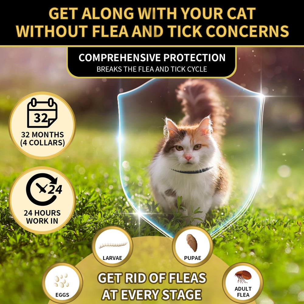 Collier YOTANGO résistant à l’eau et non gras pour chat
