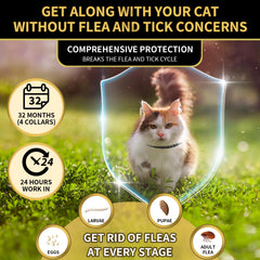 Collier YOTANGO résistant à l’eau et non gras pour chat