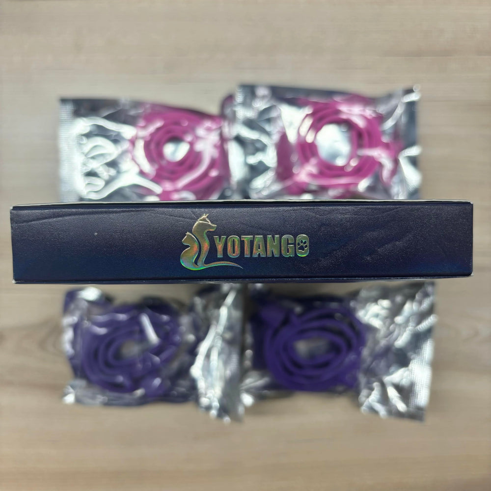 YOTANGO collier réglable 38 cm pour chats, ajustement confortable.
