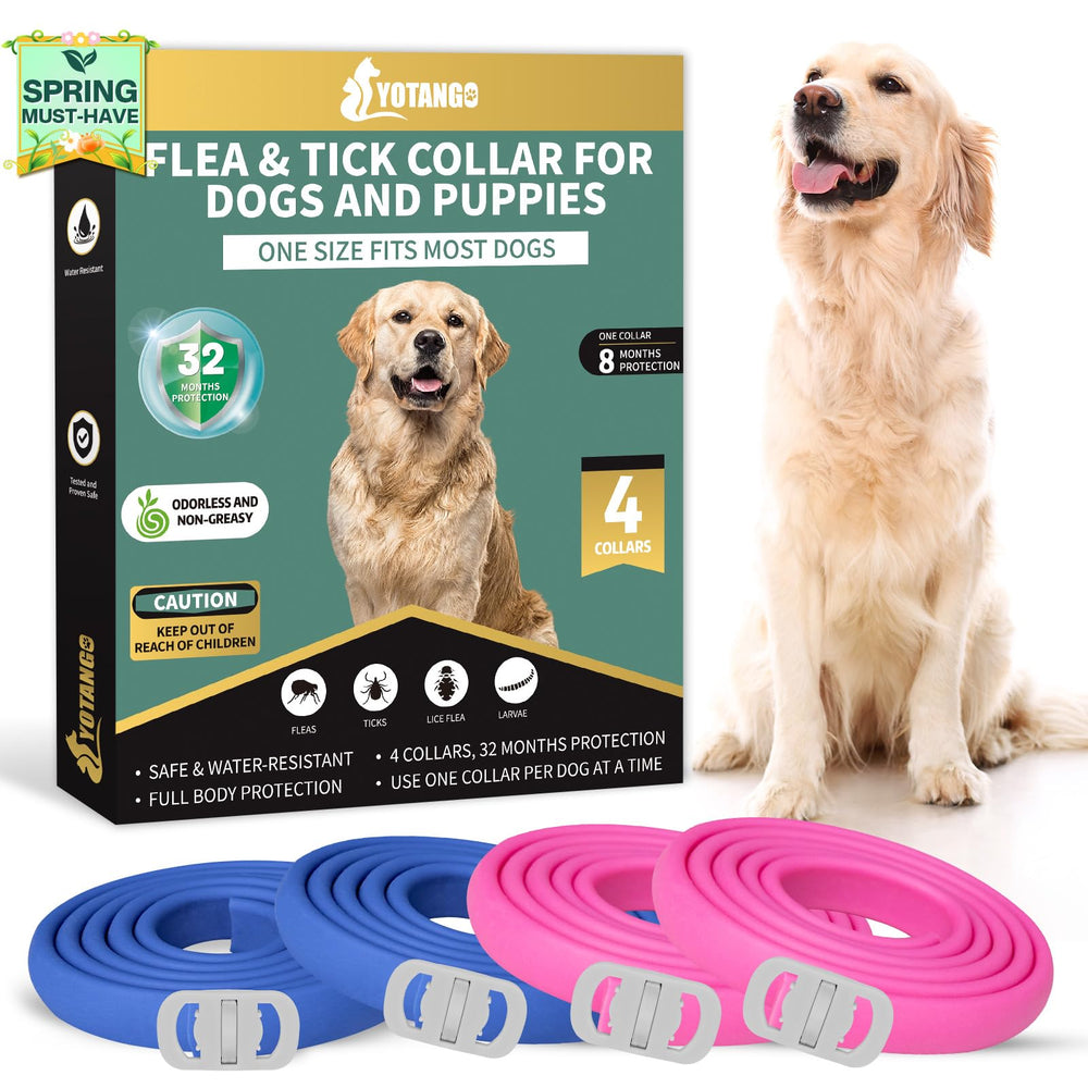 YOTANGO collier puces chien bleu, protection durable et confortable.