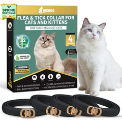 Lot de 4 collier anti-puces YOTANGO noir prêt à l’emploi pour chat