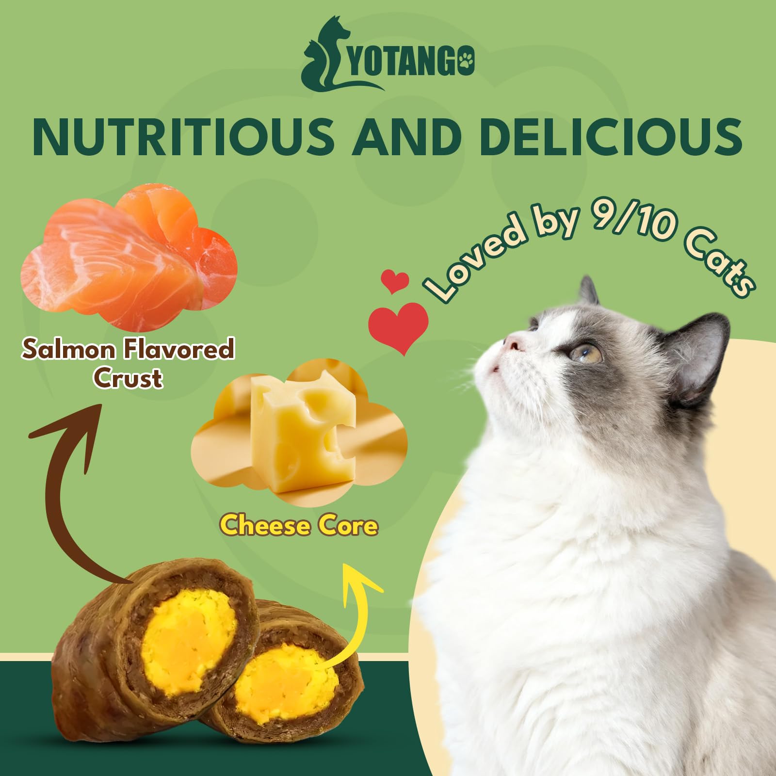 Saveur saumon YOTANGO, friandise naturelle appréciée par les chats exigeants.