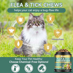 YOTANGO – soin peau et pelage chat, huile de poisson et vitamines.