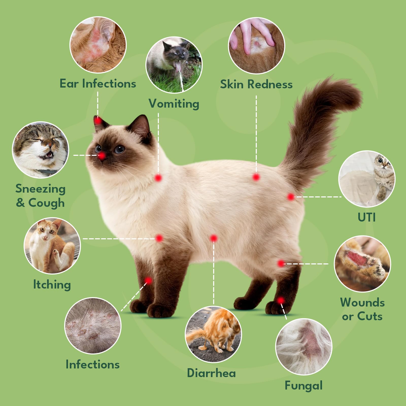 Soutien des infections urinaires et respiration avec YOTANGO pour chat.