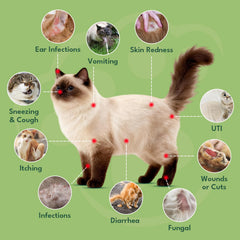 Soutien des infections urinaires et respiration avec YOTANGO pour chat.