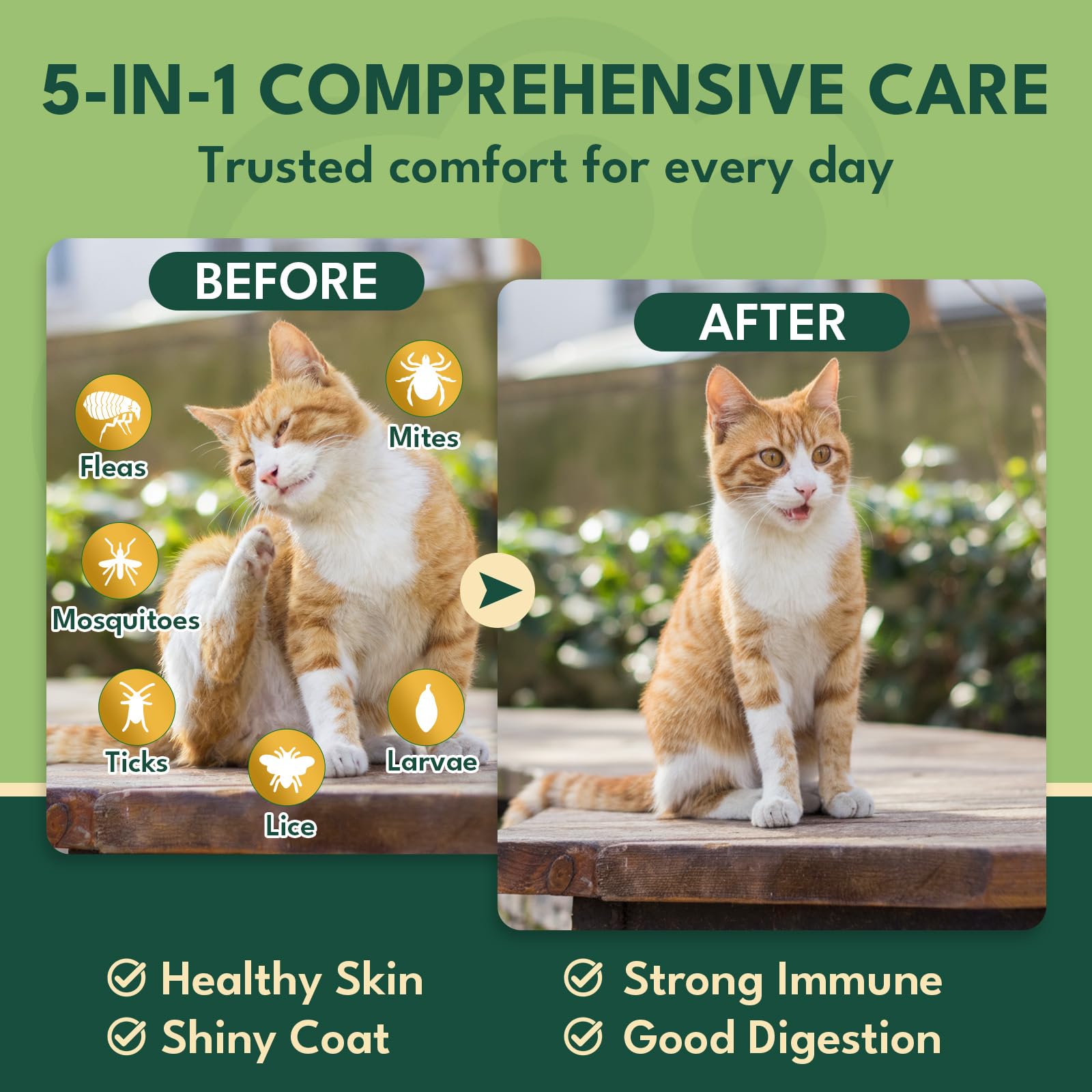 Formule douce pour chats sensibles, YOTANGO aide à l'assimilation et au confort.