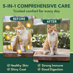 Formule douce pour chats sensibles, YOTANGO aide à l'assimilation et au confort.