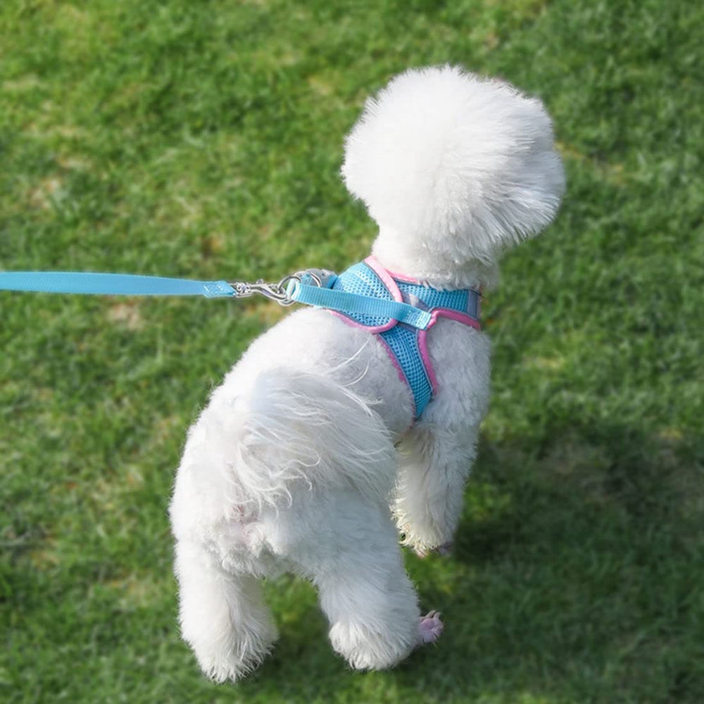 YOUALSO maille aérée harnais chiot rose pour respirabilité