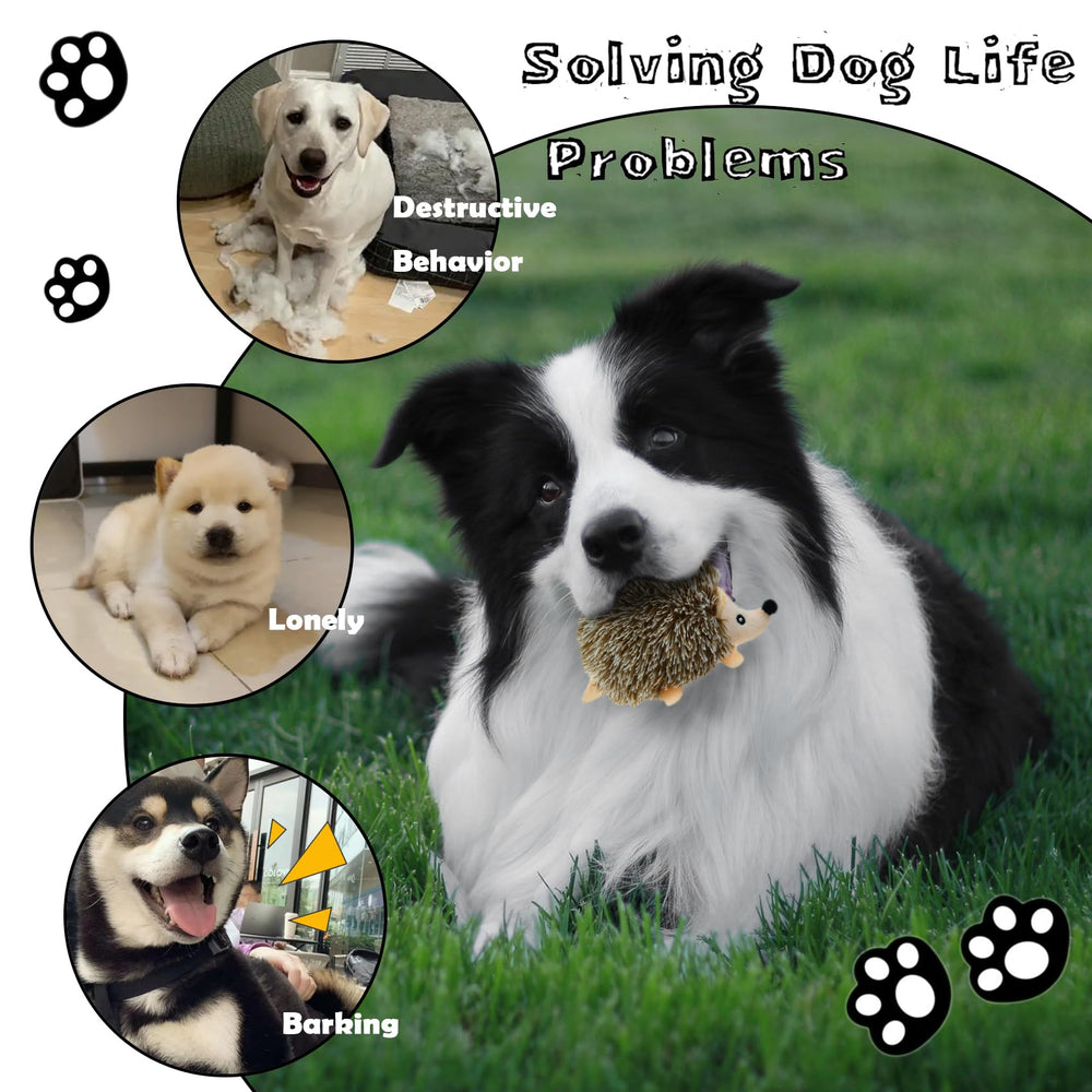 YOUBEMAGIC lot-de-jouets-durables-pour-chiens-de-toutes-tailles : plaisir et résistance.