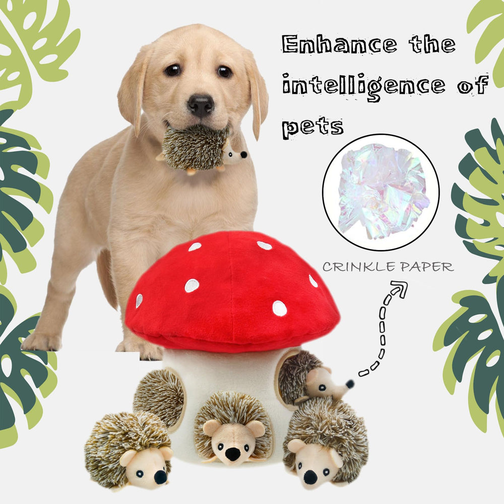 YOUBEMAGIC stimulation-mentale : chien explore, résout le puzzle et reste concentré.