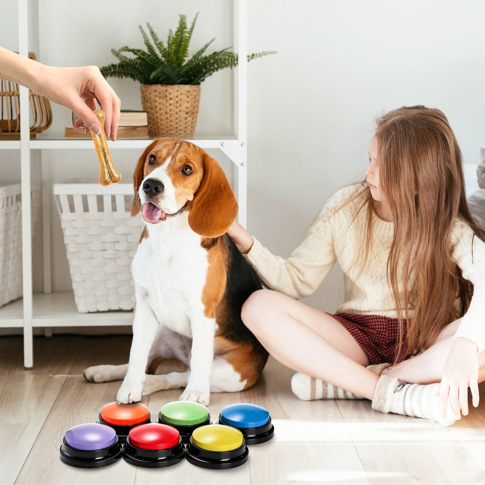 Youeon-packaging-6-boutons-couleurs: ensemble coloré prêt à l'emploi.