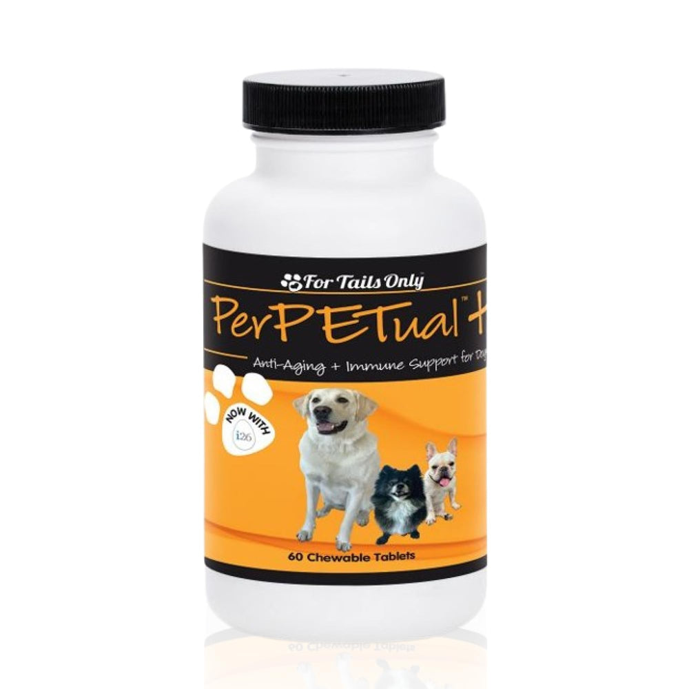 Youngevity Perpetual Plus – bouteille pour chien, potentiel soutien à la vitalité.