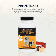 Poudre d'œuf immunitaire i26 – complément naturel pour le chien.