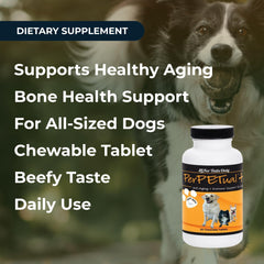 Santé des os et ossature chez le chien avec Perpetual Plus.