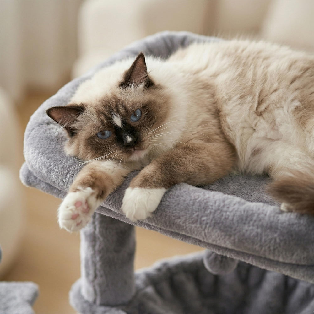 YOUPETSER Arbre à chat – poteaux en sisal pour griffer et muscler les pattes.