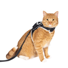 Your Cat Backpack - Harnais chat ajustable pour un confort et sécurité lors des promenades.