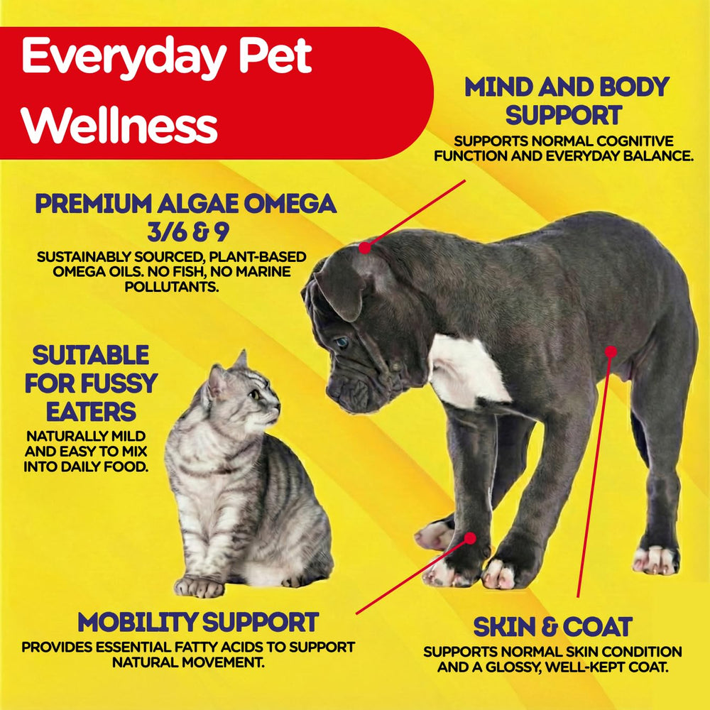 Your Petjesty huile omega-3 topping pour croquettes chien et chat
