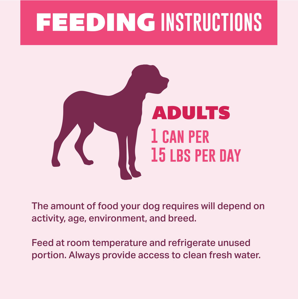 YOUR PET'S KITCHEN: nutrition holistique pour énergie et vitalité du quotidien.