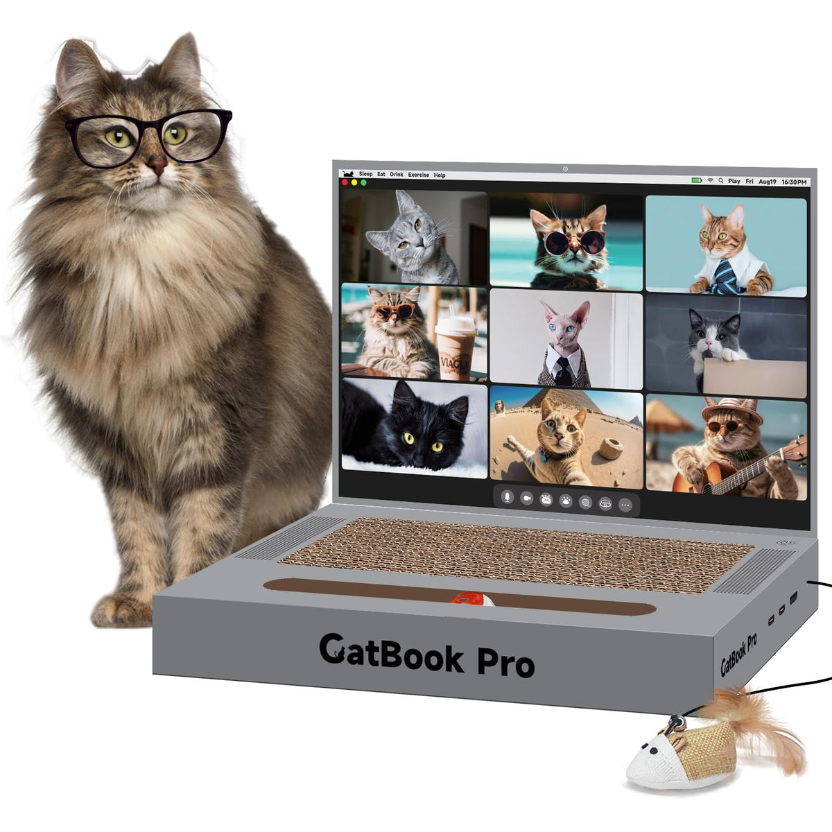 YOUXIFUN ordinateur-chat-gris - griffoir ludique pour chat actif.