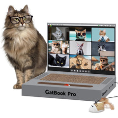 YOUXIFUN ordinateur-chat-gris - griffoir ludique pour chat actif.